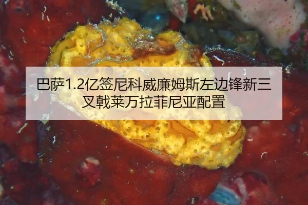 巴萨1.2亿签尼科威廉姆斯左边锋新三叉戟莱万拉菲尼亚配置